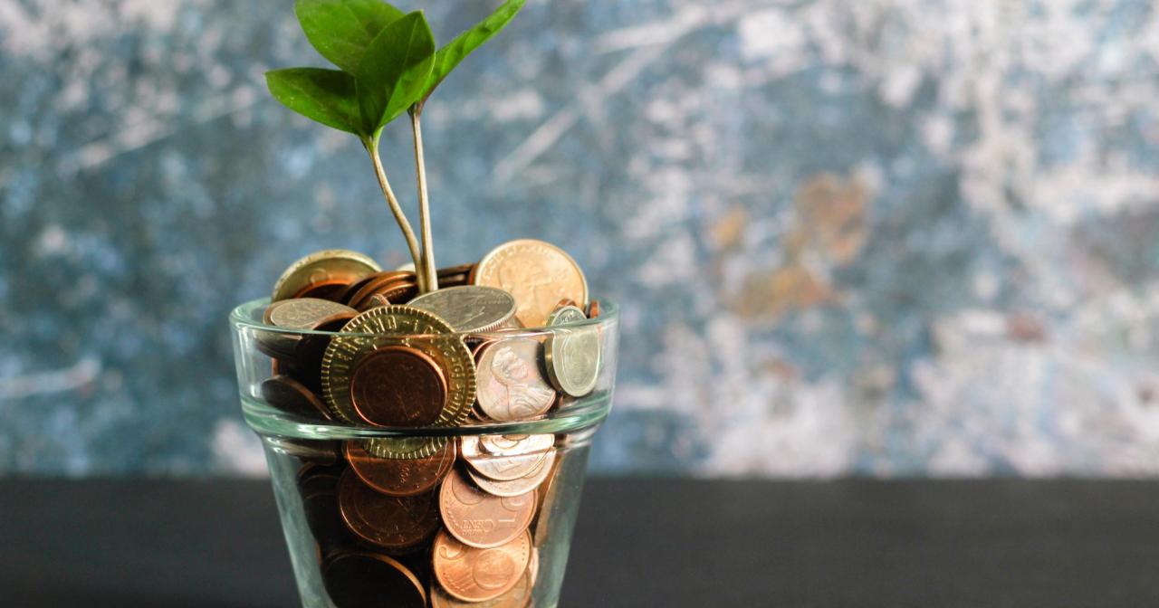 Lima Cara Memilih Investasi Cara Memilih Produk Investasi Yang Tepat