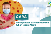 Cara Alami Meningkatkan Sistem Kekebalan Tubuh dengan Makanan Sehari-hari Cara Alami Untuk Meningkatkan Sistem Kekebalan Tubuh